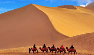 1602662351340126.png 1597919605899033.png